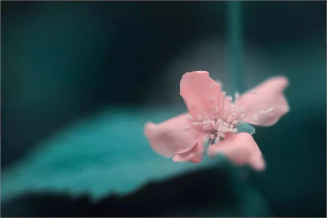 【夜听】一切都是最好的安排