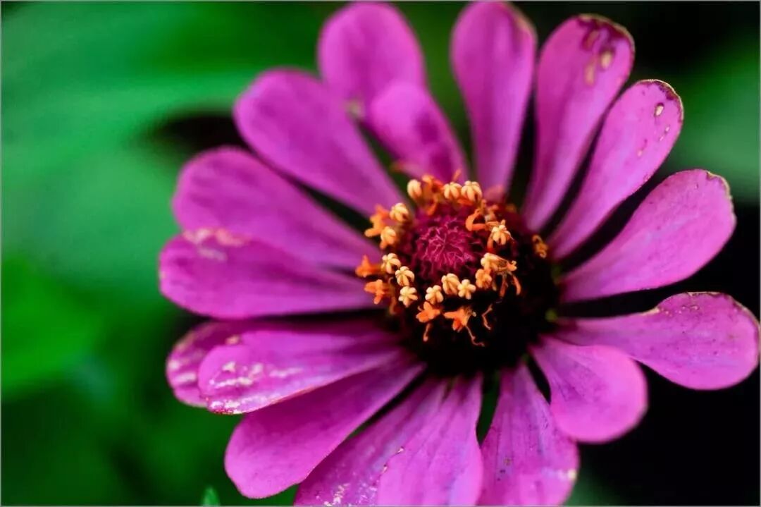 【夜听】人生，要学会留一份安静给自己