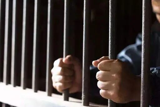 男子伪造警车_新加坡护照_男子伪造印章和材料