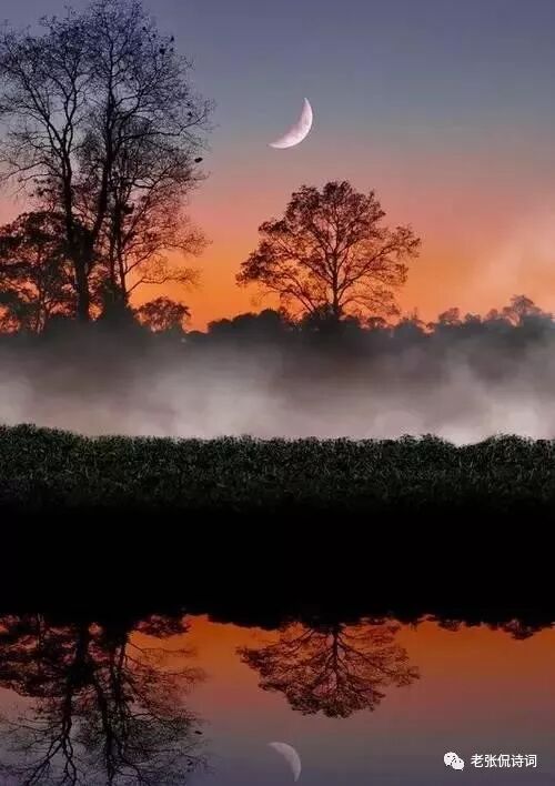 字月是什么意思_由月是什么字_马云得生日是9月还是10月