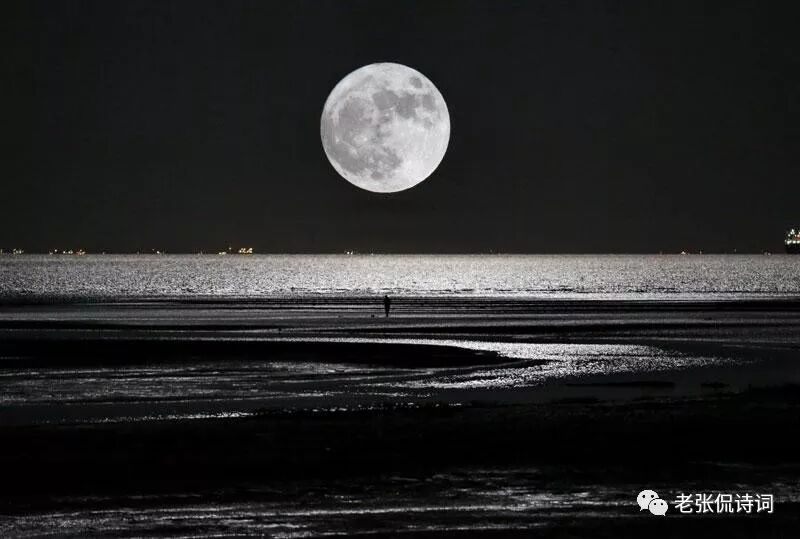 由月是什么字 一首28字写月亮的唐诗，全文无“月”字却字字写“月”
