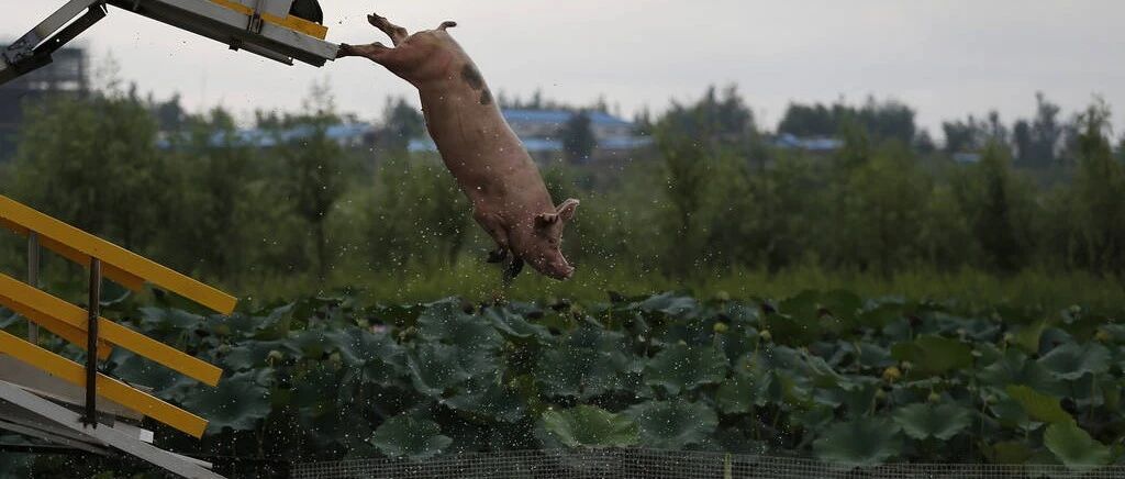 上热搜！400亿巨额赎回引发“宁王”暴跌？最新回应来了  宁德时代暴跌或因这两点，机构喊话当前是投资一板块黄金时点