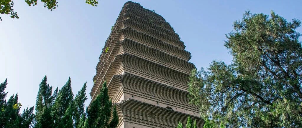 西安“孕妇流产”事件竟牵扯A股！背后上市公司原来是它,股价已被爆锤！茅台蹭元宇宙热点，两大医药白马闪崩