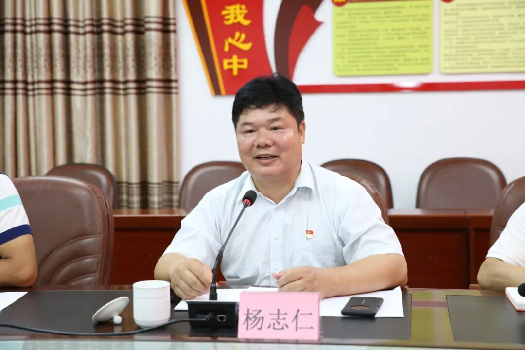 杨志仁到合山镇调研乡村振兴工作