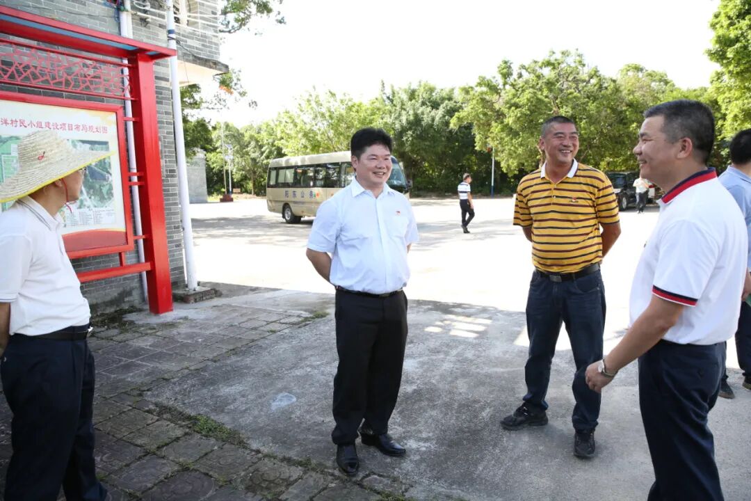 杨志仁到合山镇调研乡村振兴工作