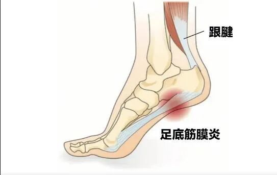 冲击波治疗效果怎么样体外冲击波治疗颈肩腰腿痛效果好_https://www.jmylbn.com_新闻资讯_第8张