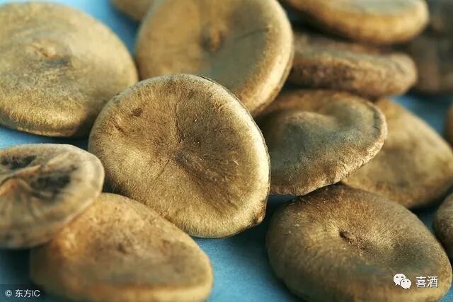 什么药材泡酒壮阳补肾最好？