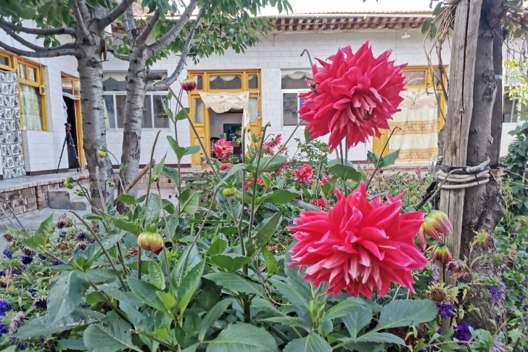 ���ǲ�������������������ʶ�Լ�