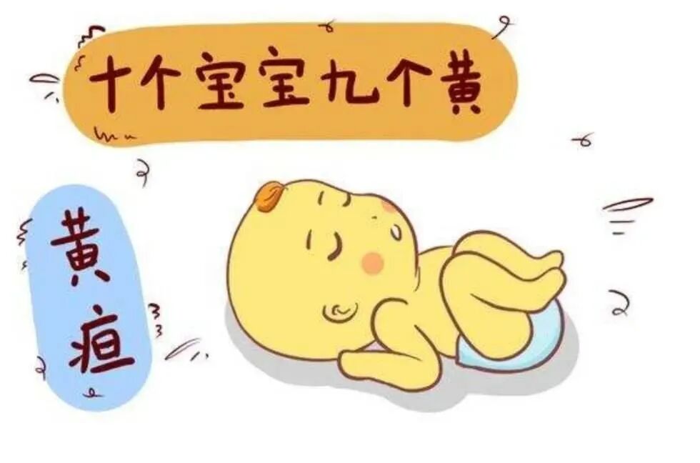 为什么要用光疗纸尿裤【便民服务】白天治疗，晚上回家！丰顺县人民医院新生儿科开展日间光疗服务啦，宝宝不用住院也能照蓝光！_https://www.jmylbn.com_新闻资讯_第4张