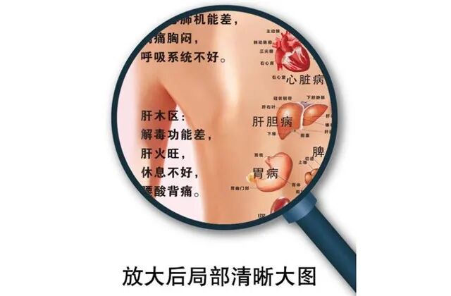 秋季常做背，全年不遭罪！通经祛湿调五脏，百病皆消退！