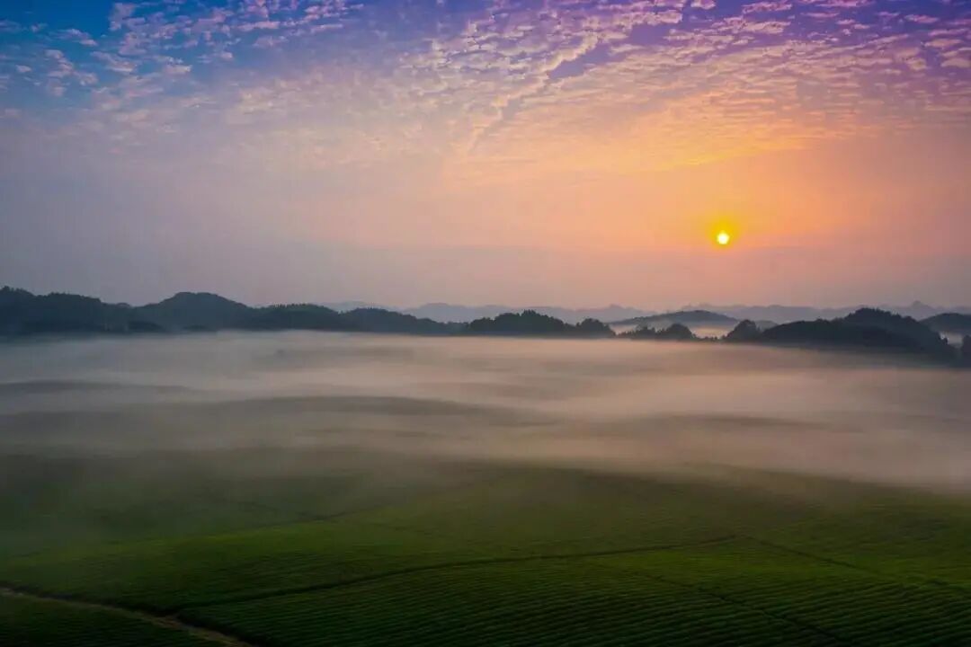 640.webp (53)_副本.jpg