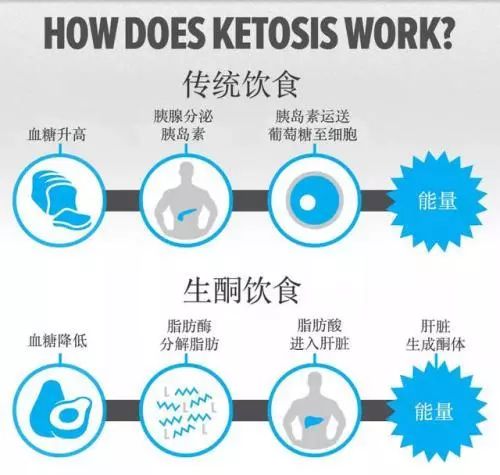 天天喝油，也能瘦身！？ 運動 第4張