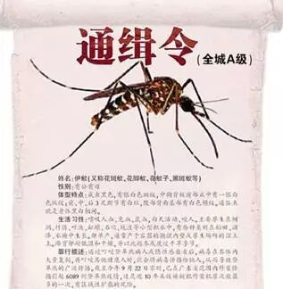 1秒消灭40只蚊子！激光灭蚊黑科技真的可行吗？