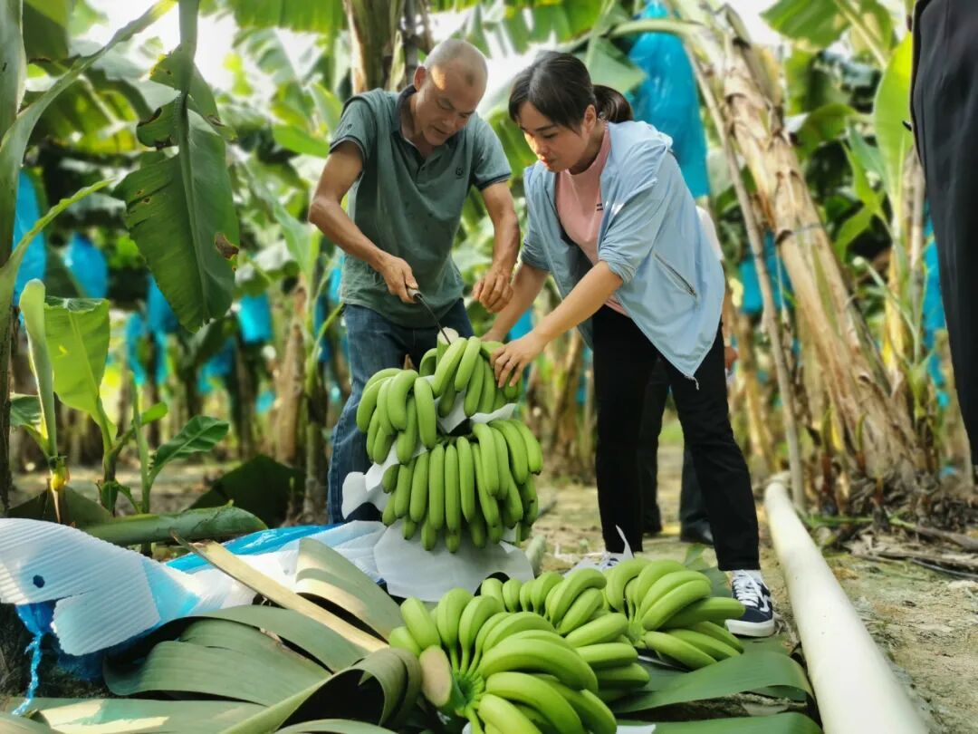 广州市小额创业项目_小额创业项目代理_优质小额创业项目