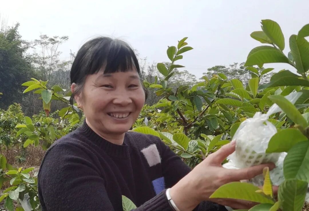 广州市小额创业项目_优质小额创业项目_小额创业项目代理