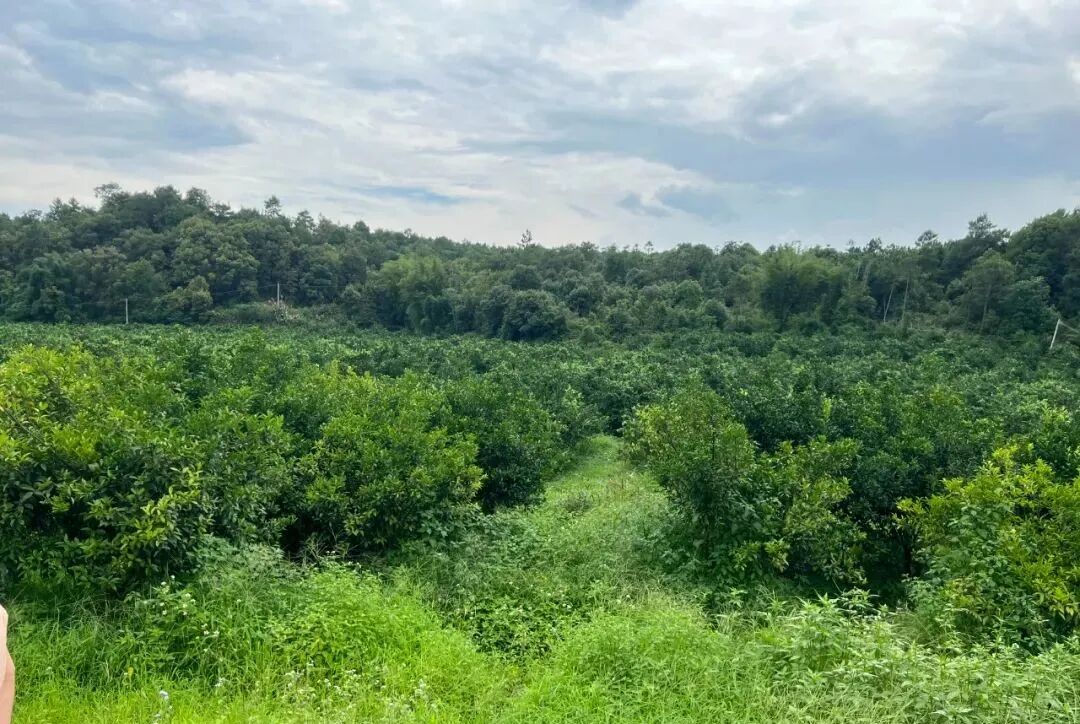 优质小额创业项目_小额创业项目代理_广州市小额创业项目