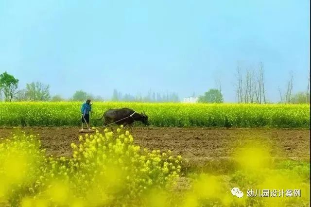 京華合木驚蟄節(jié)氣主題活動