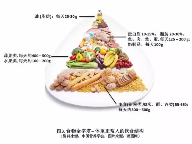 【科普營養】我們到底要怎麼吃？ 健康 第2張