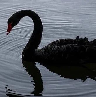 A股利好利空晚报 | 反垄断 “第一刀”来了！水饺巨头涨价，股民：涨停？
