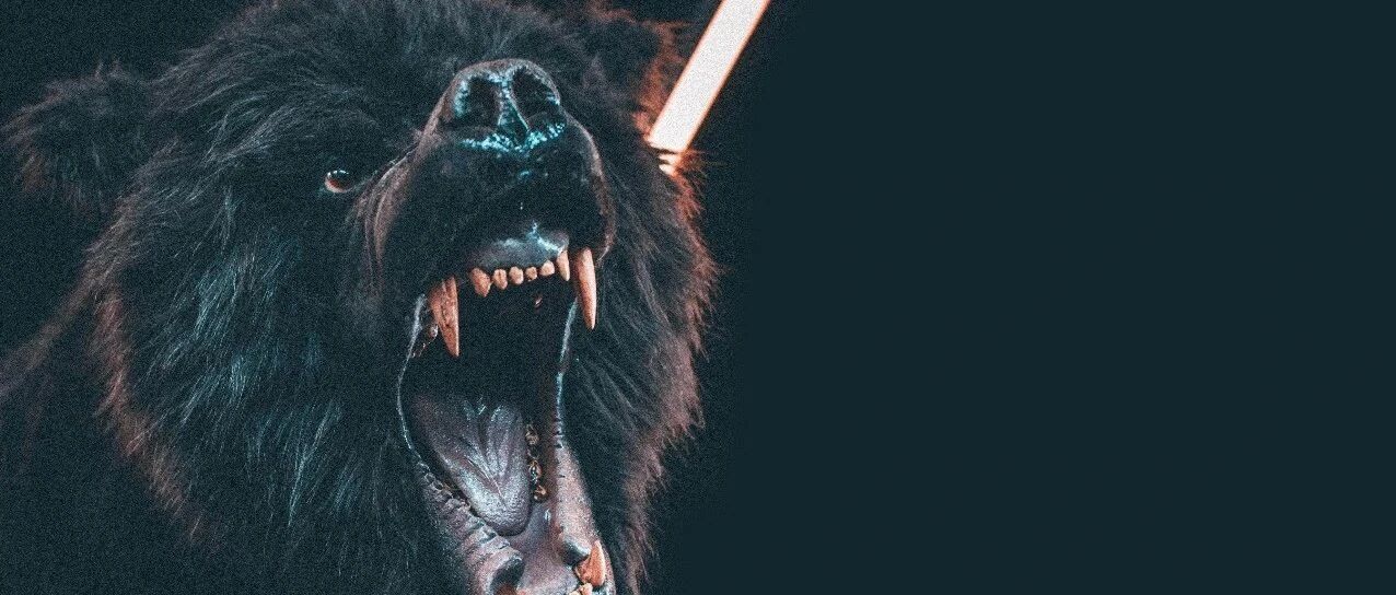 1.6万股东惊呆：5倍大牛股15分钟闪崩20% 高位接盘两天血亏