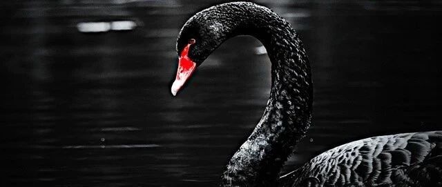 3400一闪而过，怕踩雷，用微证券扫雷