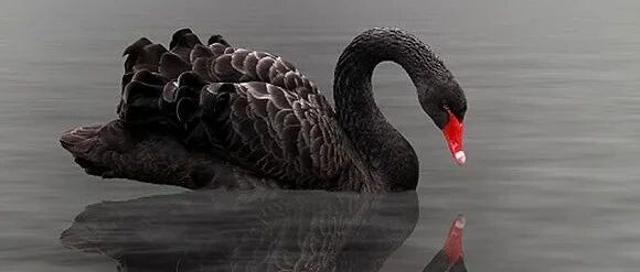 A股利好利空晚报| 突发利空，中概券商股崩了！国家队持仓低估值股出炉(名单)