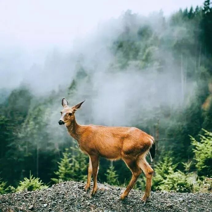 余生，致自己的掏心话！