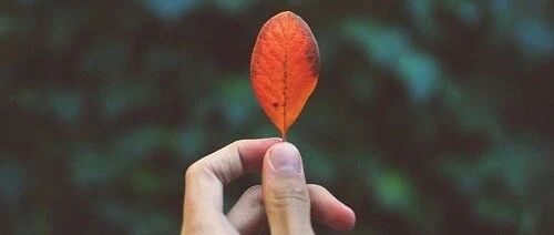 人到中年，这三件事比面子更重要！