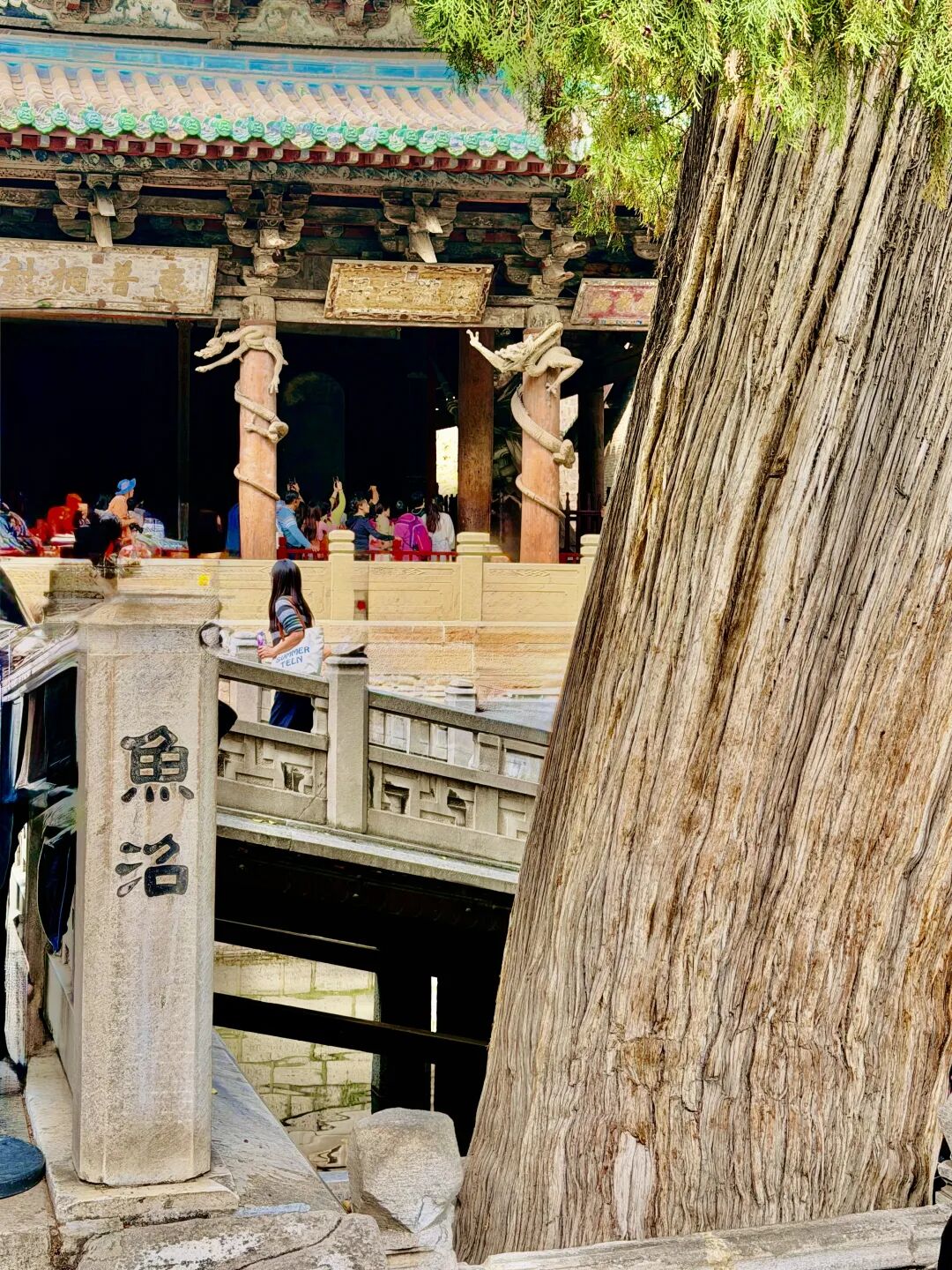 太原马拉松赛道干净服务贴心 跑者体验与免费景点