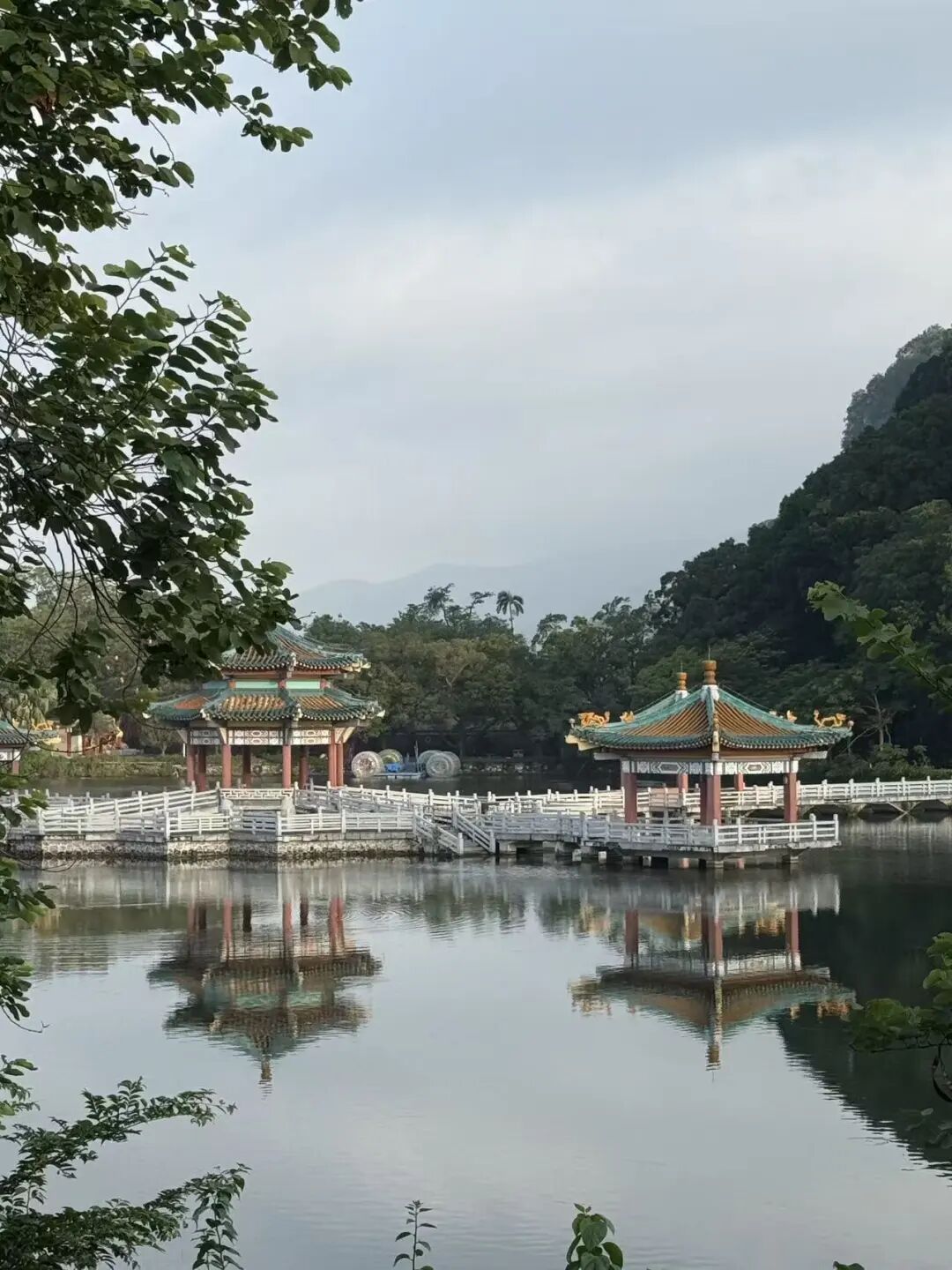 肇庆扒鸭美食探店 星湖晨跑怀旧之旅 简单满足的粤西停留