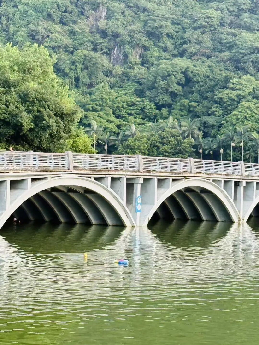 肇庆扒鸭美食探店 星湖晨跑怀旧之旅 简单满足的粤西停留