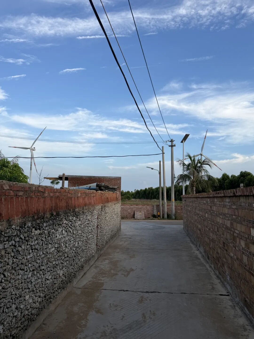 徐闻南极村旅游攻略：灯楼角与合水线自驾游玩体验