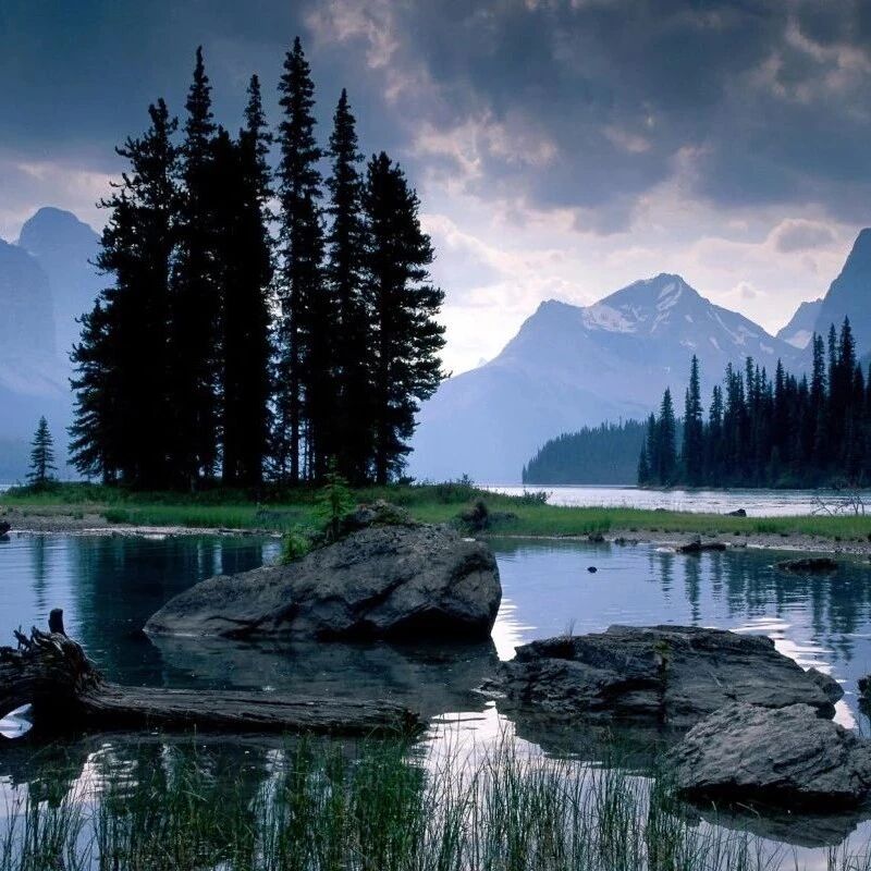 非法行医被吊销医师执业证书！为所有医生敲响警钟