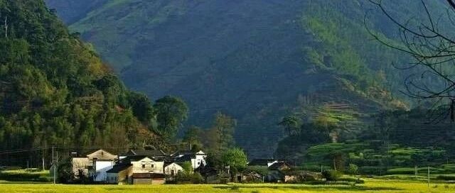 卫健委最新要求：明年，基层首诊比例达73%