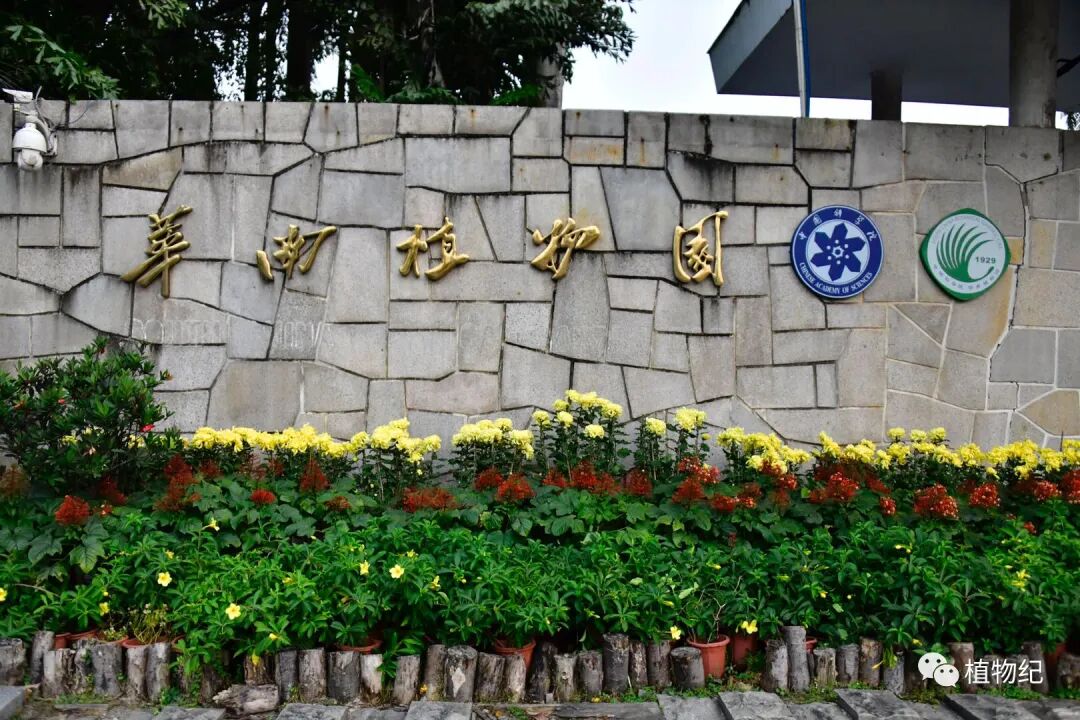 华南植物园 南国无秋意 植物纪 微信公众号文章阅读 Wemp