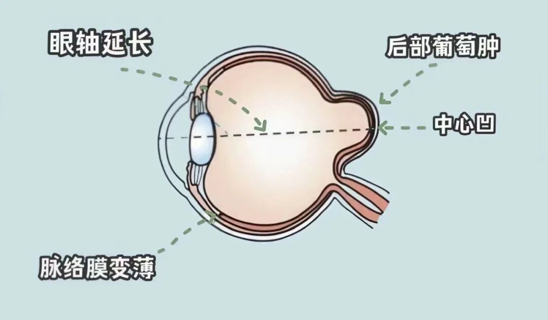 微信图片_20260427151732_5246_21.jpg