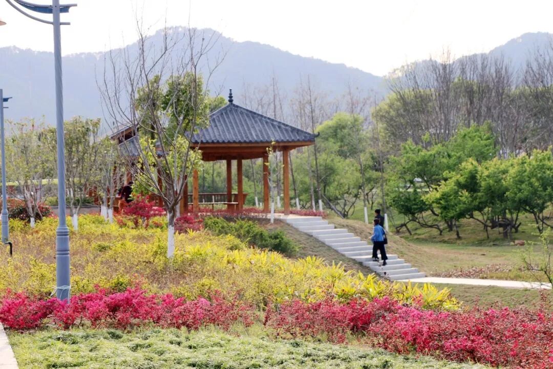 江滨走到底 便到了龙翔大道了 遥望远处的罗星塔公园 景色不要太棒 忍