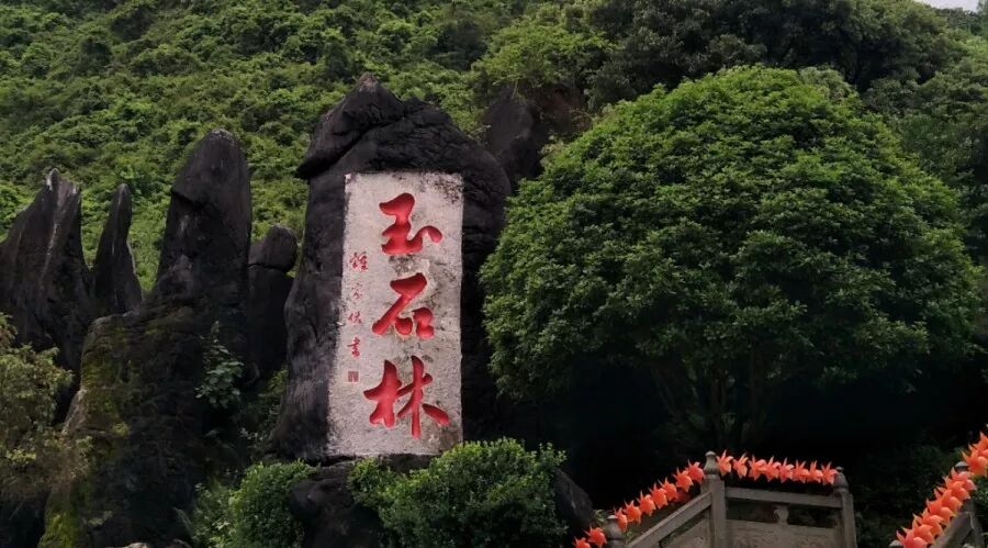 人间四月天——鑫辰科技广西旅游