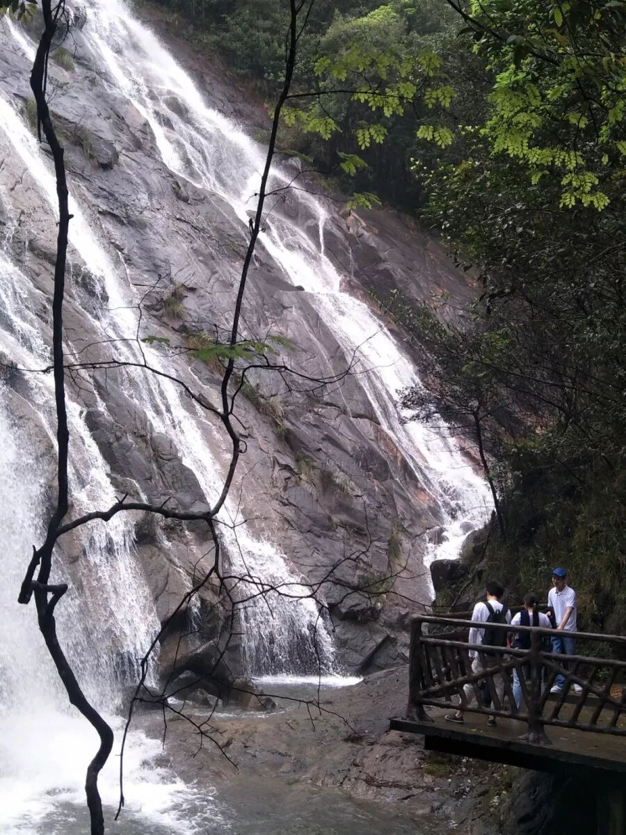 人间四月天——鑫辰科技广西旅游