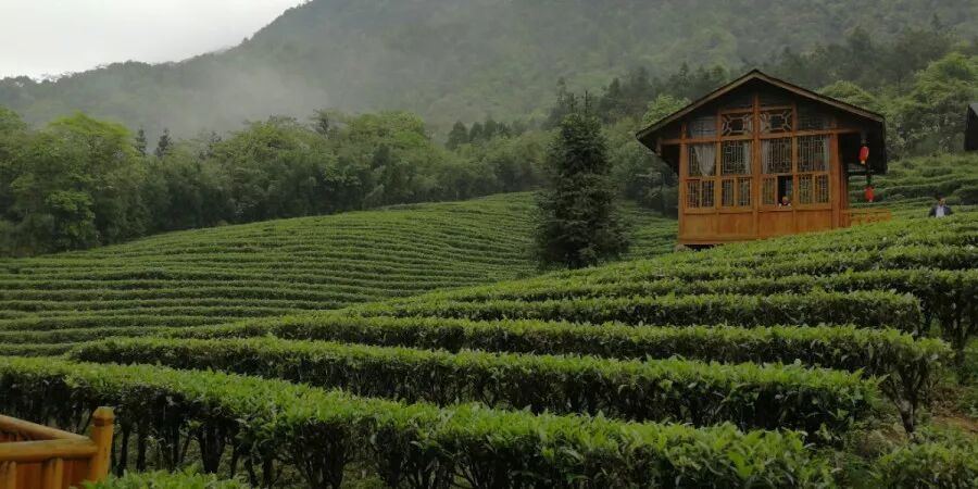 人间四月天——鑫辰科技广西旅游