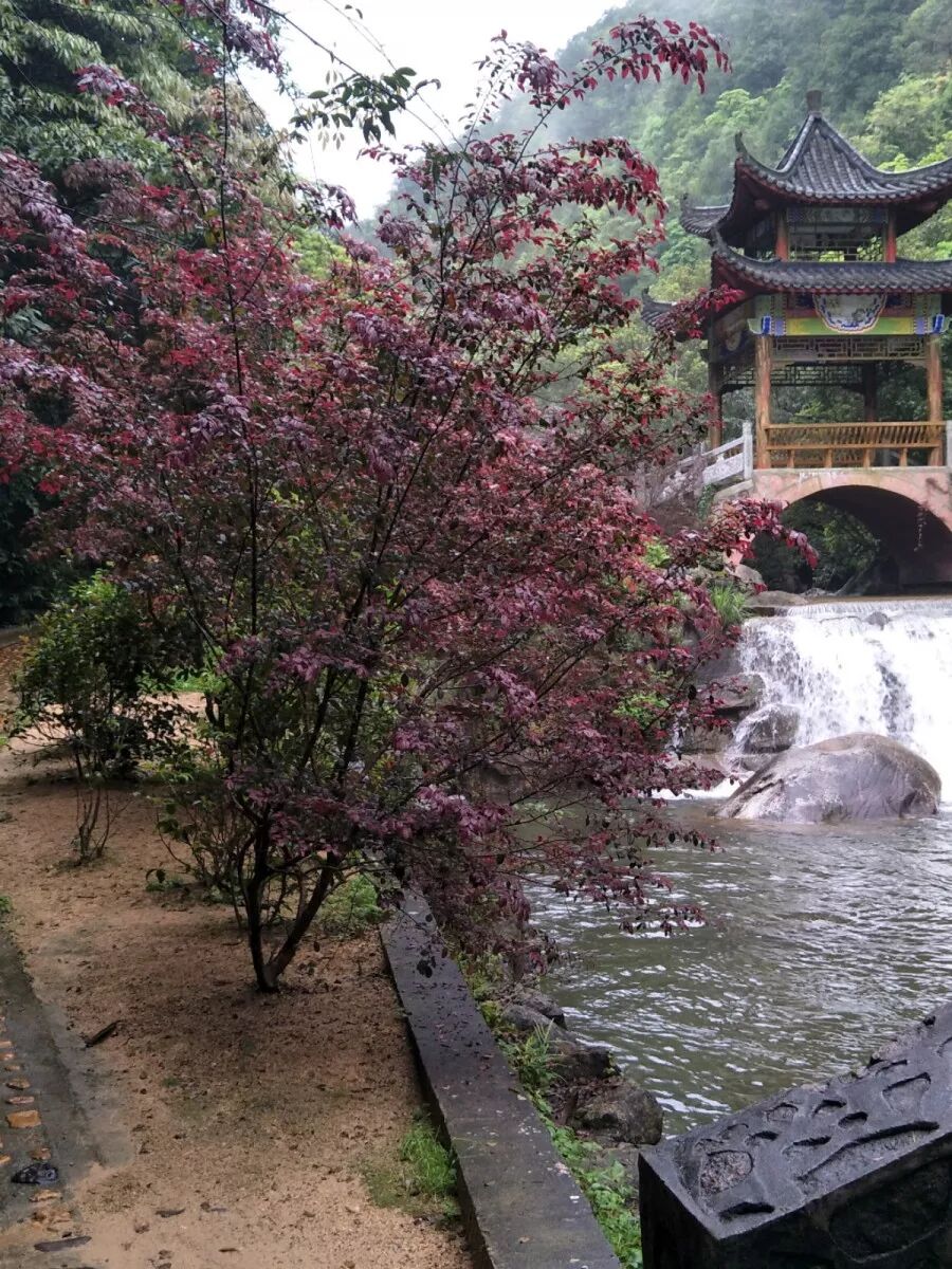 人间四月天——鑫辰科技广西旅游