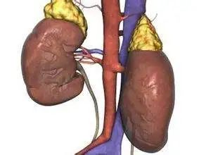 点击查看源网页 图片