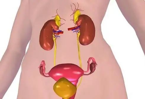 点击查看源网页 图片