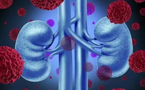 点击查看源网页 图片