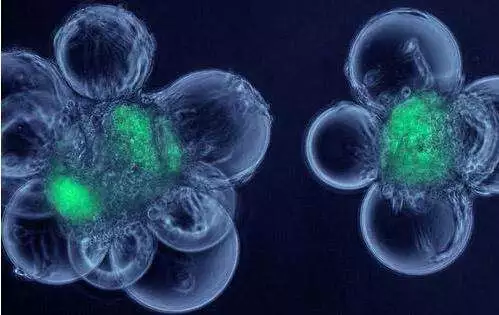 点击查看源网页 图片