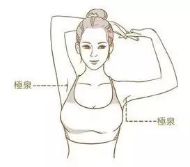Ĵ8ѣĳ塰аͨͨ