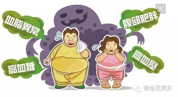 黑茶不是药神，为什么是人体器官的“保护伞”