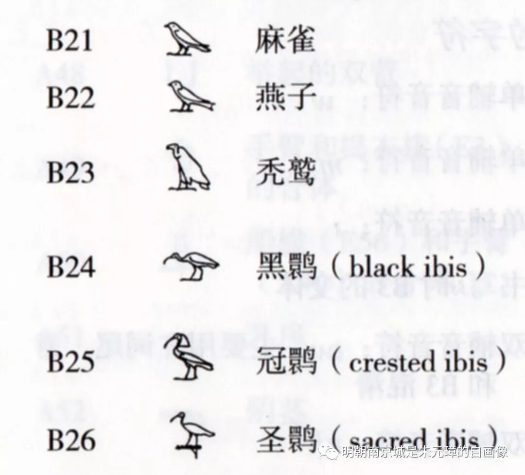 良渚象形文字的解析 明朝南京城是朱元璋的自画像 微信公众号文章阅读 Wemp