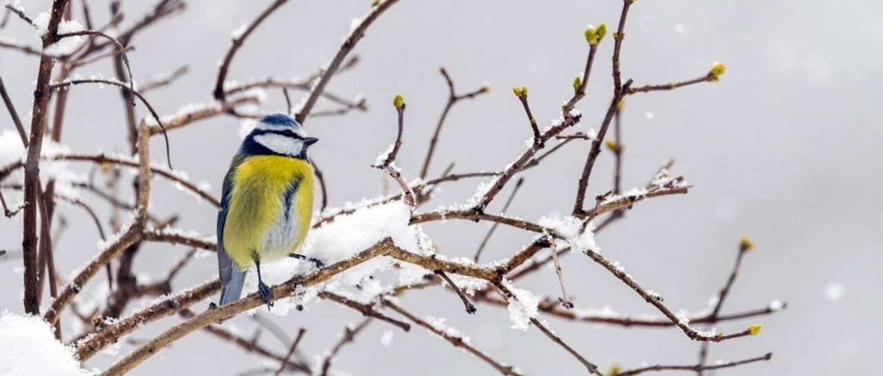 工银爱旅行活动续期至2026年底 刷卡消费随机立减金额可观