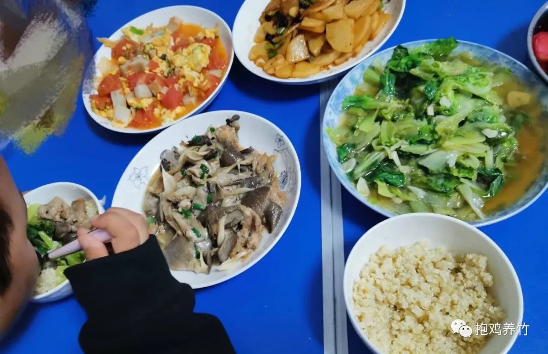 飞鹤奶粉茁护怎么样_飞鹤茁然上火吗_飞鹤茁然为什么不建议多喝